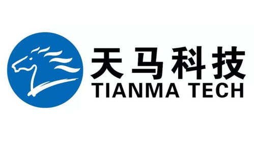 福建天馬科技集團(tuán)