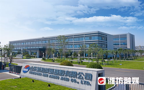 濰觀 鍛造濰坊軟實(shí)力③ 讓良好營商環(huán)境成為迸發(fā)生產(chǎn)力的沃土