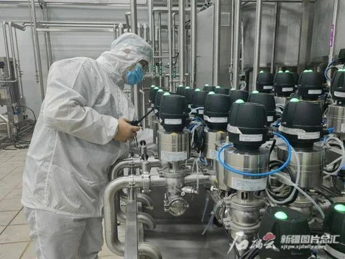 新疆禽蛋產(chǎn)量增幅緣何超越全國(guó)平均水平